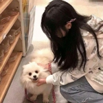 星耀之刃手游